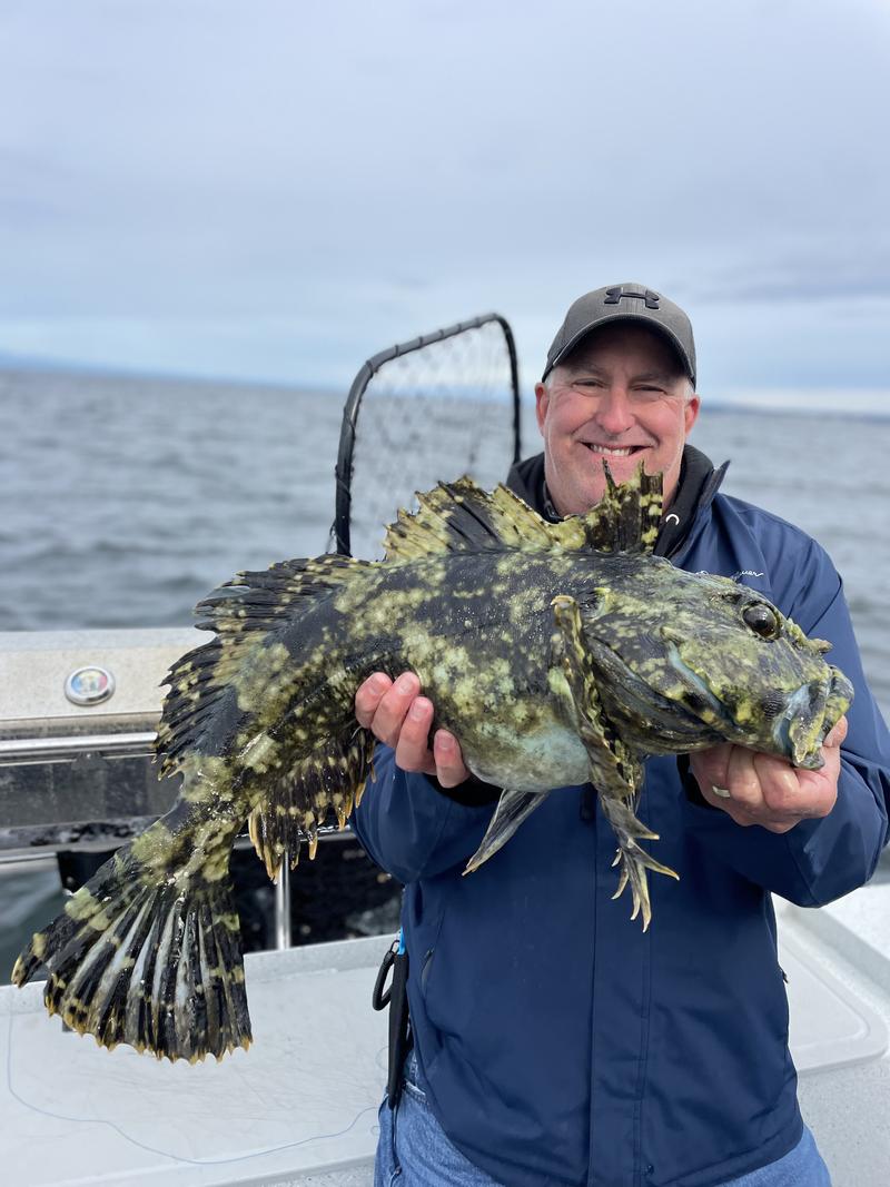 Angler holding a large lingcod on a boat deck.